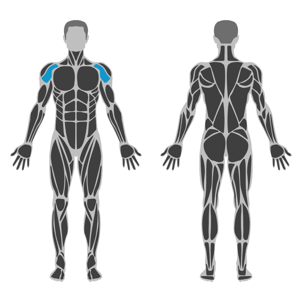 Plaatje van Front Delt