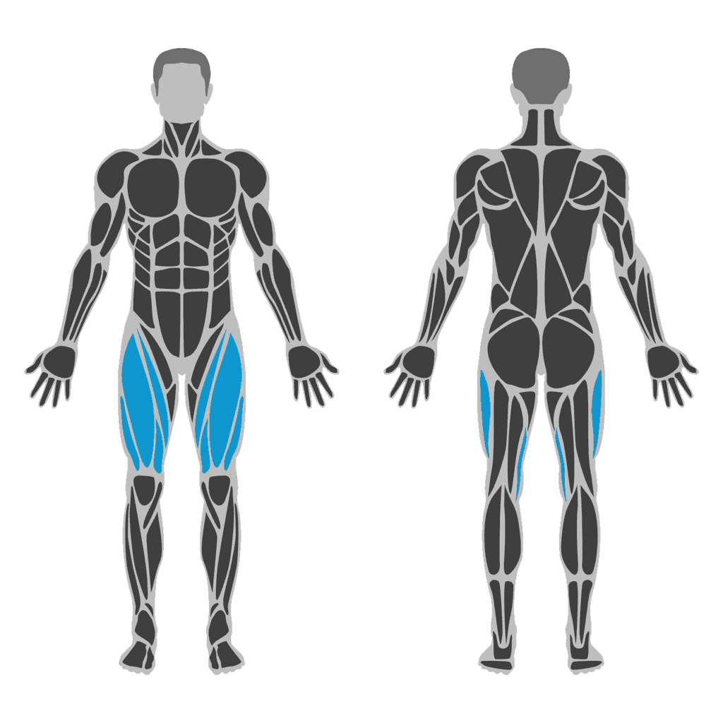 Plaatje van Quadriceps