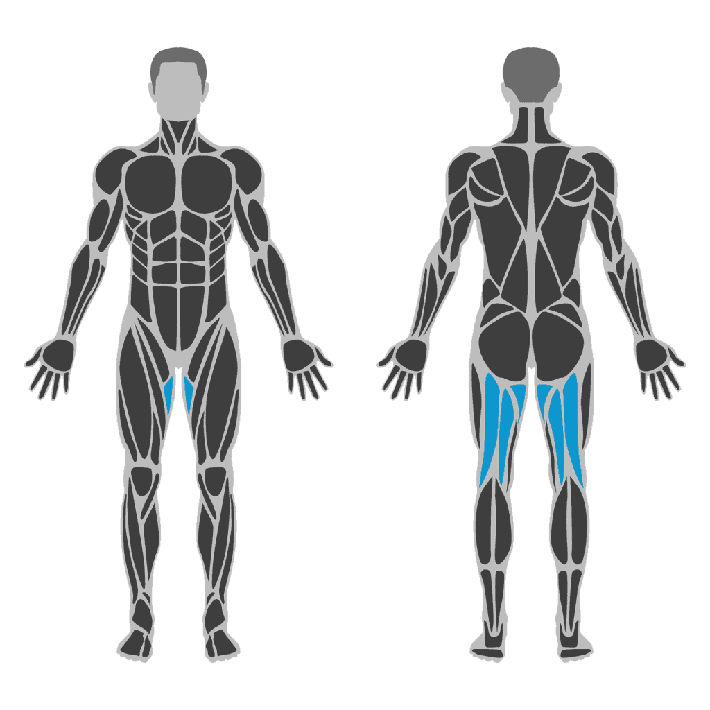 Plaatje van Hamstrings