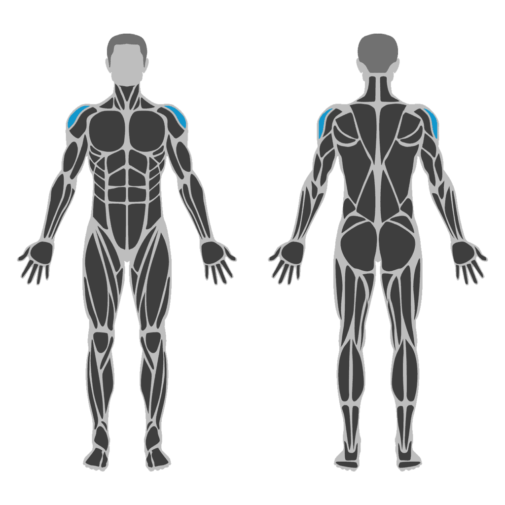 Plaatje van side delts
