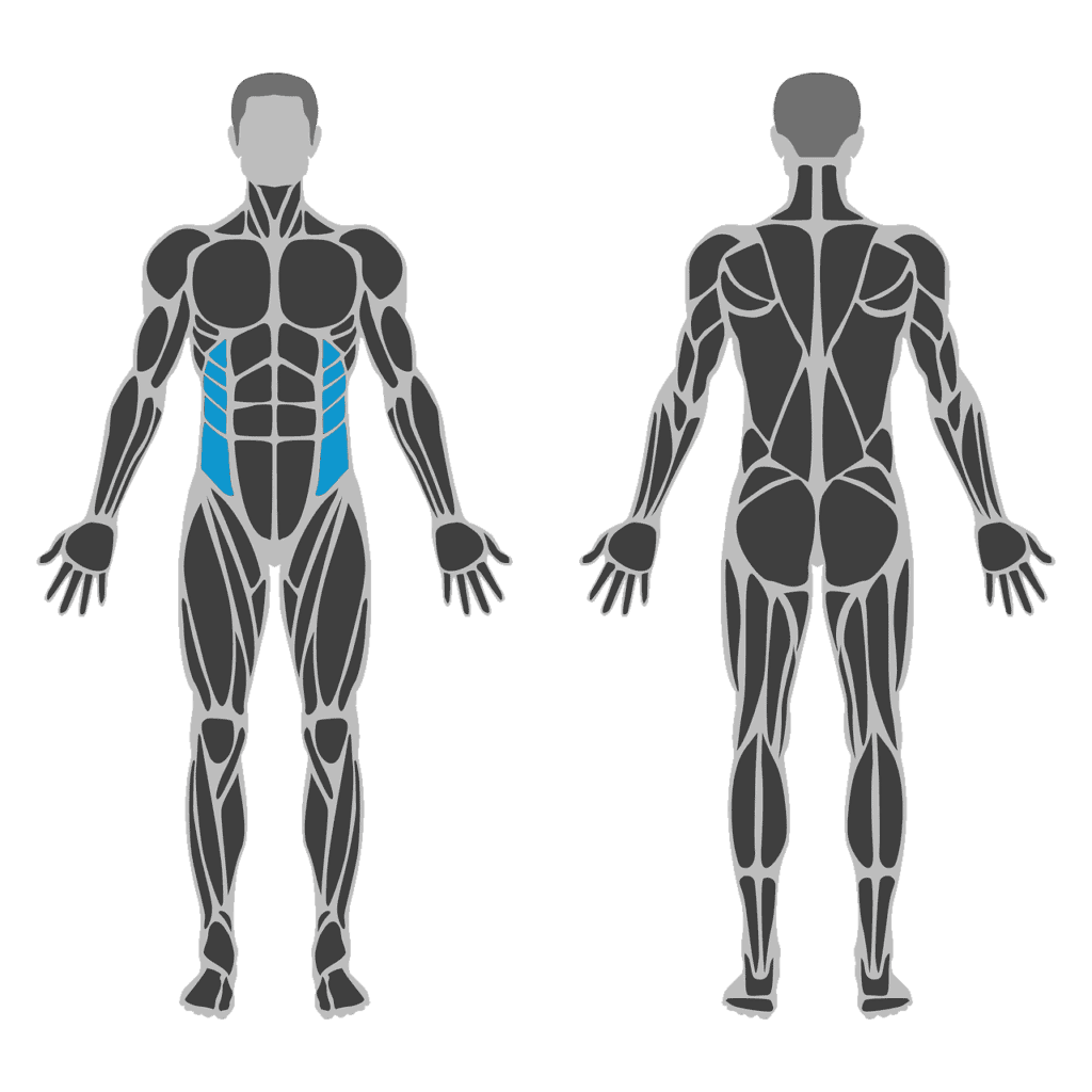 Plaatje van schuine buikspieren