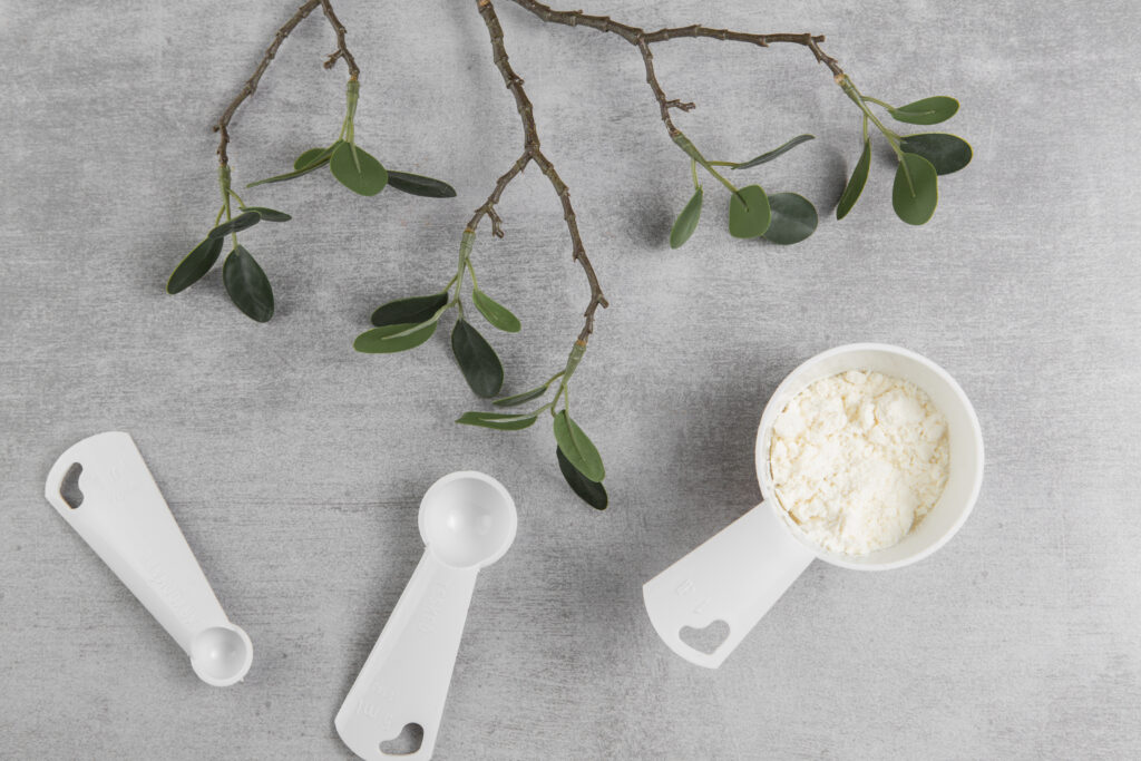 bovenaanzicht assortiment met tak grijze achtergrond